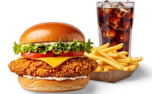 Crispy Chicken Combo